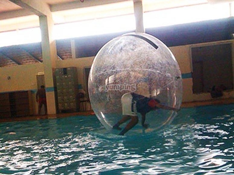 Aqua zorbing in the pool Aqua zorbing in the pool